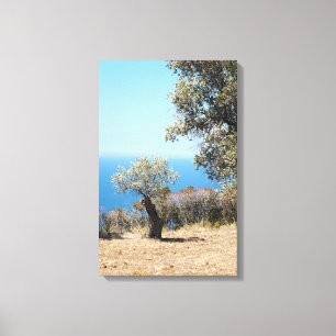 Canvas Majorca