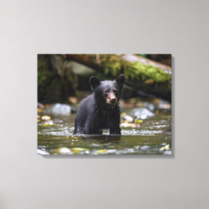 Canvas Muro Arte-Yellowstone Urso Negro