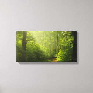 canvas natural
