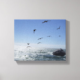 Canvas Oceano e Gaivotas