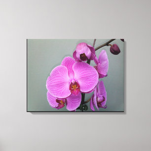 Canvas ORCHID DE TINTA