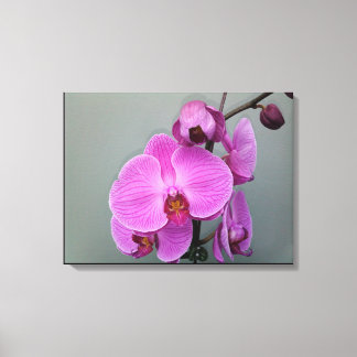 Canvas ORCHID DE TINTA
