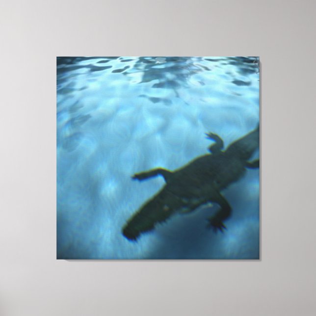 Canvas p05b DA SÉRIE DE PISCINAS DA DAVID (Frente)