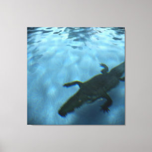 Canvas p05b DA SÉRIE DE PISCINAS DA DAVID