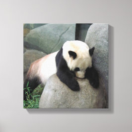 Canvas Panda