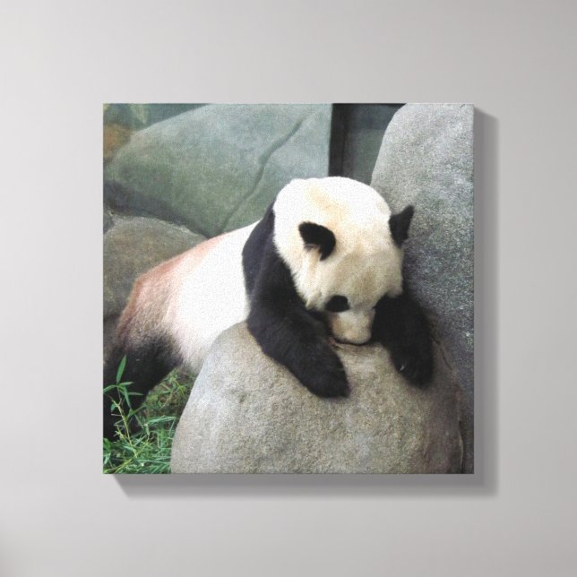 Canvas Panda (Frente)