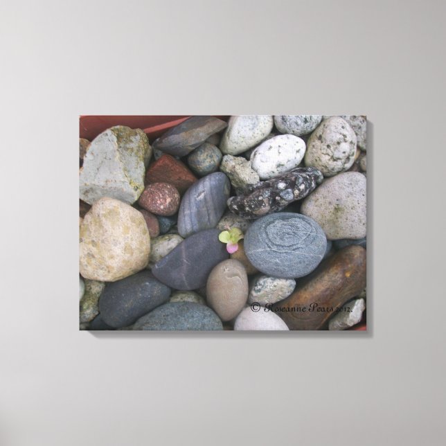 Canvas (Pebbles nº 1) SDCs ©️ 2012 (Frente)
