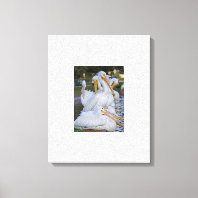 Canvas Pelican Pile Art (Frente)
