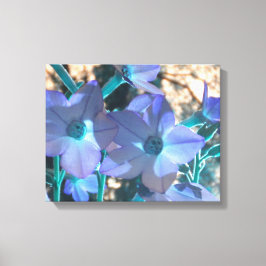 Canvas Periwinkle N Teal Nicotiana