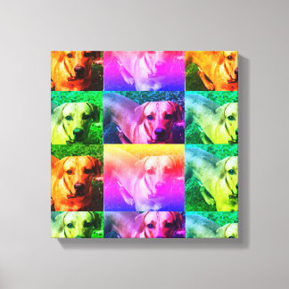 Canvas Personalizada de Pop de Fotografia Personal