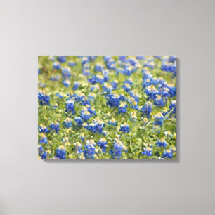 Canvas pintadas: Campo do Bluebonnet do Wildflower