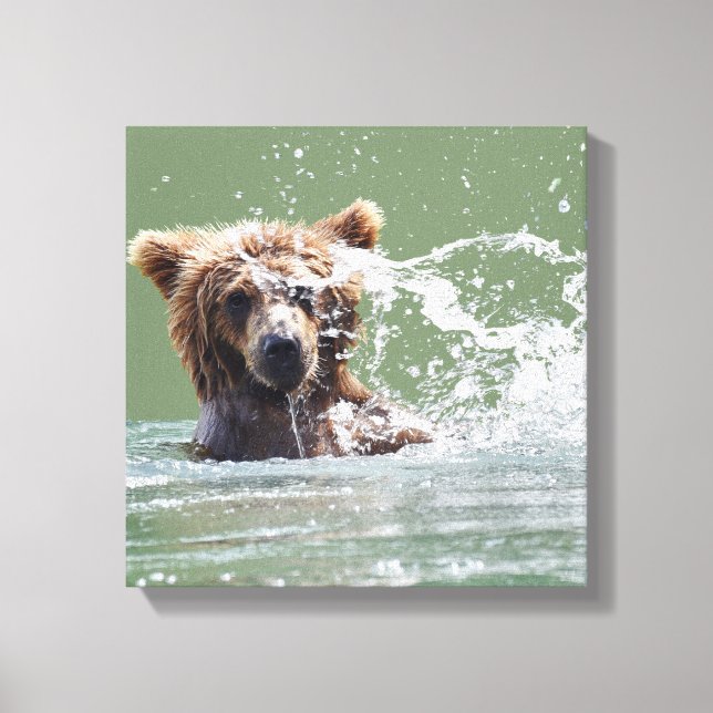 Canvas Premium 12x12 com cubo de urso pardo (Frente)