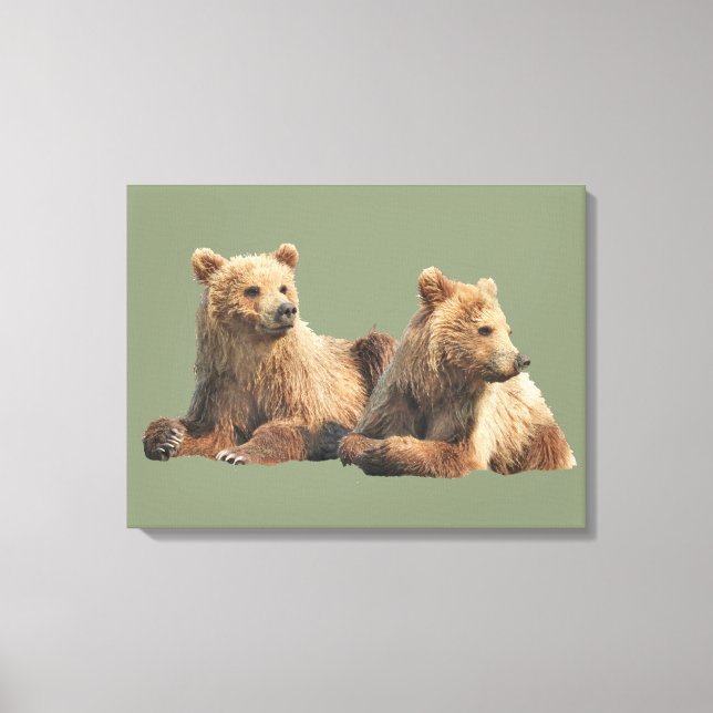 Canvas Premium 24x18 de ursos pardos (Frente)