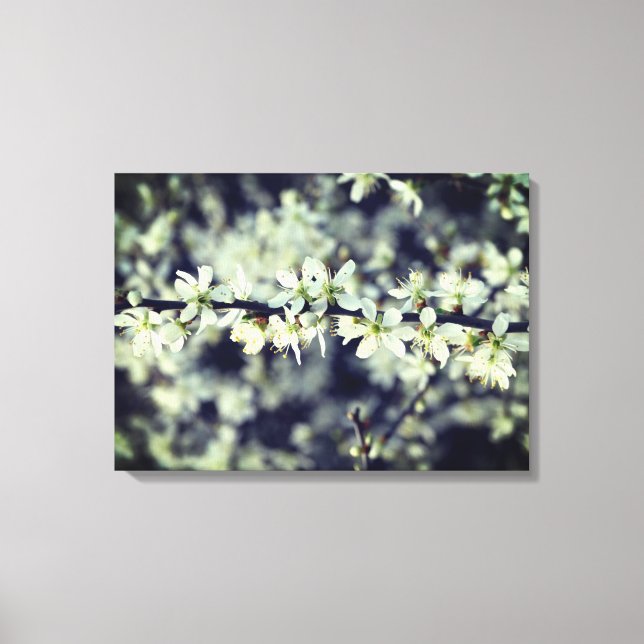Canvas primavera Blossomo (Frente)