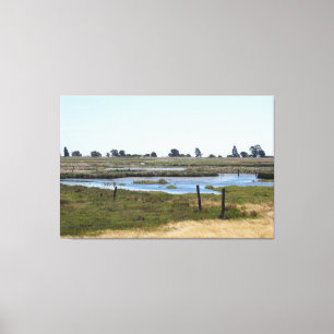 Canvas Print - Marshland water