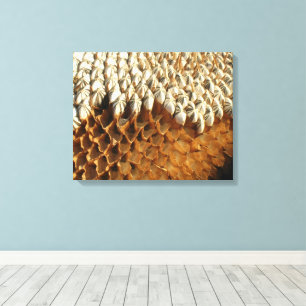 Canvas Print - Sementes De Girassol