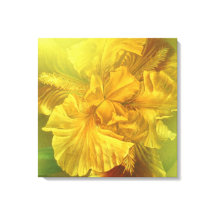 Canvas quadrada íris (amarelo quente)