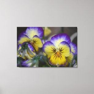 Canvas Quádrupla e Flor Amarelo