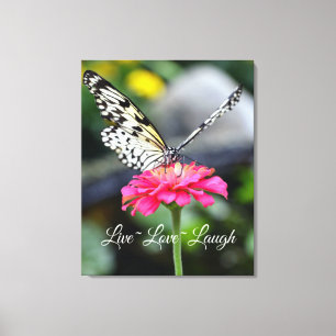 Canvas Quebra/Amor ao Vivo