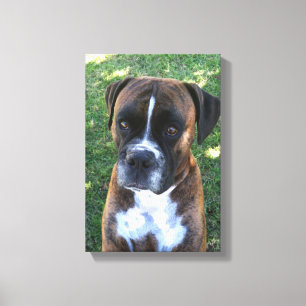 Canvas rajados da parede da foto do cão do