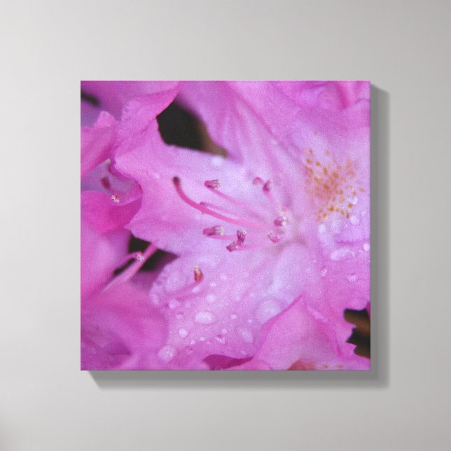 Canvas Rhododendron (Frente)