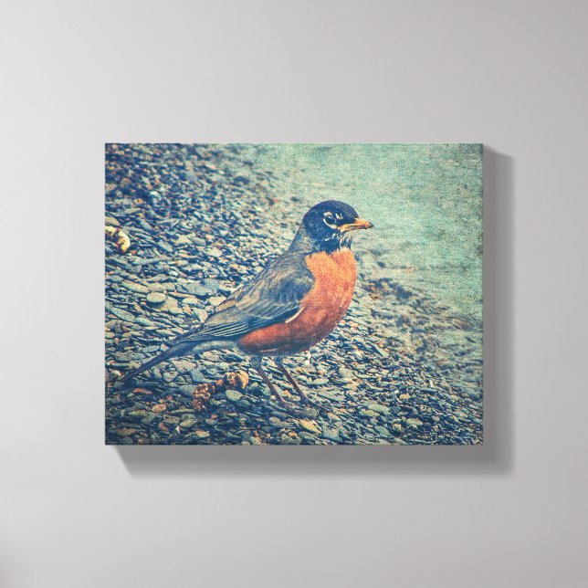 Canvas Robin Bird Americana (Frente)
