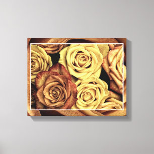Canvas rosa
