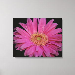 Canvas rosa