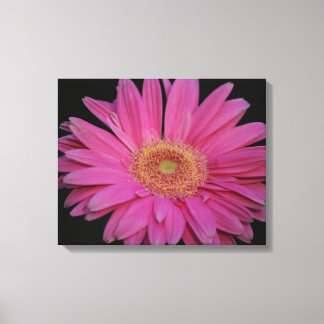 Canvas rosa