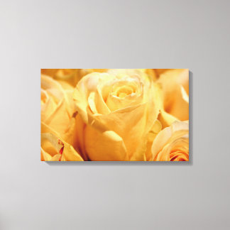 Canvas rosa