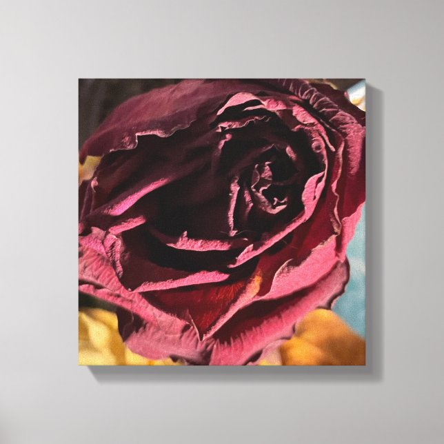 Canvas rosa (Frente)