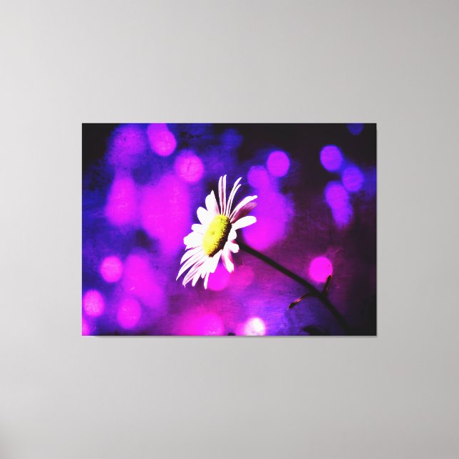 Canvas Rosa N Ametist Daisy (Frente)