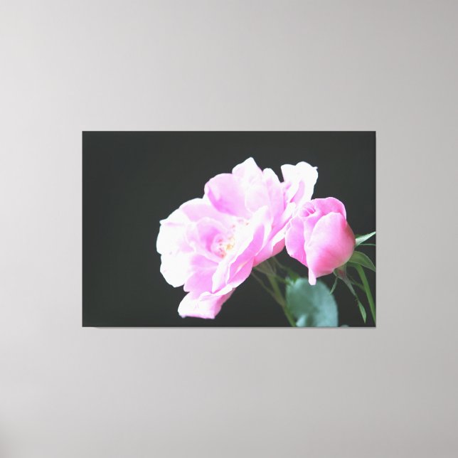 Canvas Rosa Rosa Grande (Frente)
