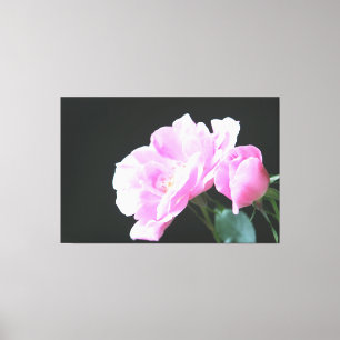 Canvas Rosa Rosa Grande