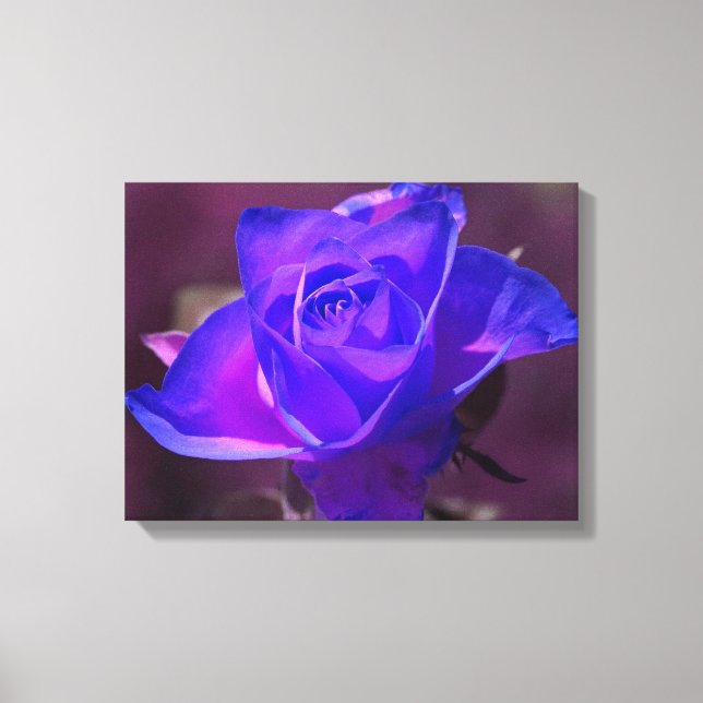 Canvas rosa-rosa-roxo N (Frente)