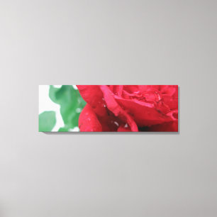 Canvas rosa vermelha