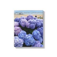 Canvas Roxo, Blue Hydrangea