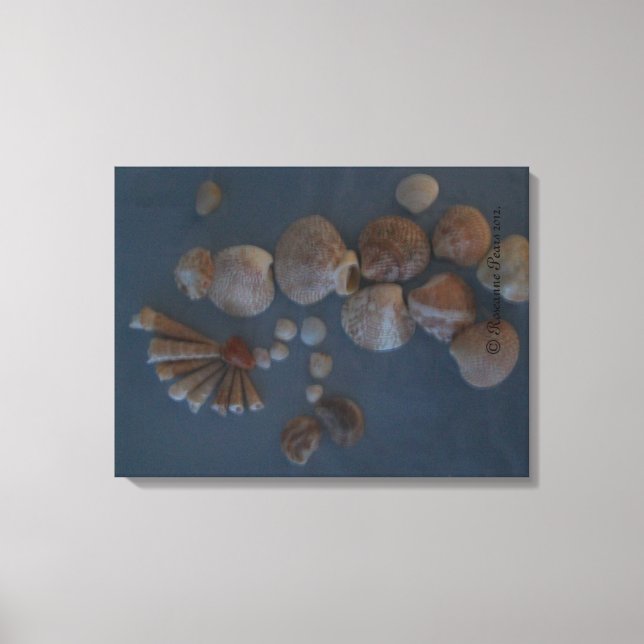 Canvas (SeaShell Lady) SDCescartazes ©️ 2012 (Frente)