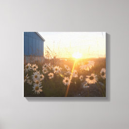 canvas solar árctica