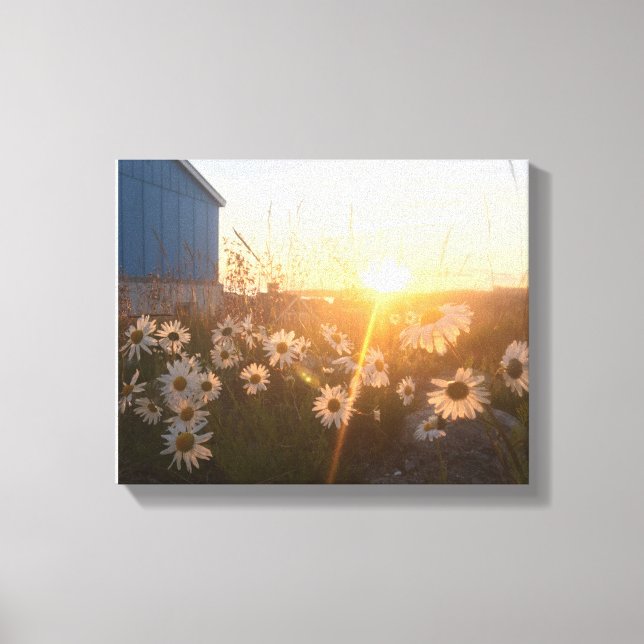 canvas solar árctica (Frente)