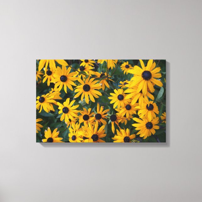 Canvas Susan Flowers de olhos negros (Frente)