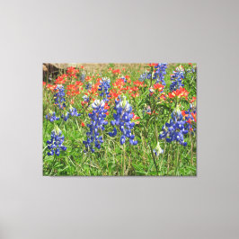 Canvas Texas Wildflower Bluebonnets Paintbrushes