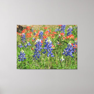 Canvas Texas Wildflower Bluebonnets Paintbrushes
