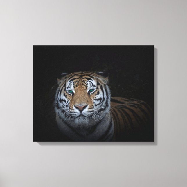 Canvas Tiger (Frente)
