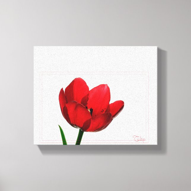 Canvas Tulip (Frente)