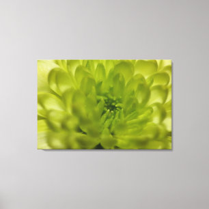 Canvas Verde Chartreuse