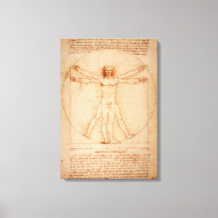 Canvas Vitruvian Man por Leonardo da Vinci