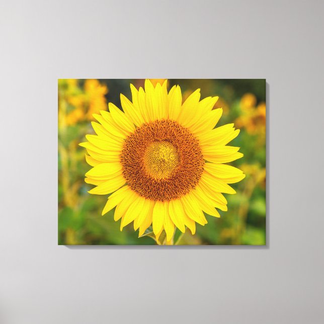 Canvas Wall Art-Sunflower (Frente)