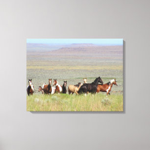 Canvas WildWest Mustangs