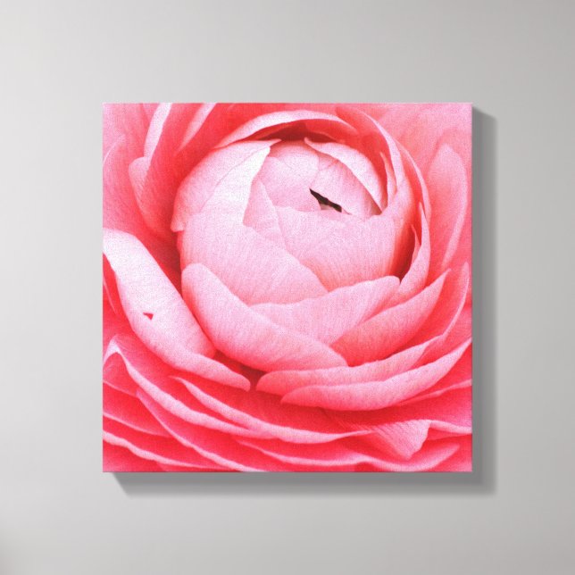canvas x 12 pol de 12 pol - Flor rosa (Frente)
